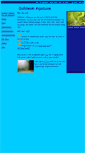 Mobile Screenshot of duikteam-aqualove.nl